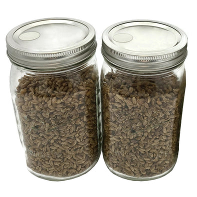 Paddy straw mushroom grain jars